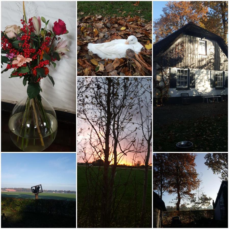 Bed and Breakfast Grenier'S Punthorst Exterior foto